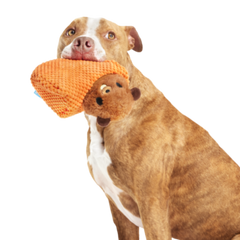 Bucktooth Chuck Plush Multi-Part + Enrichment Dog Toy