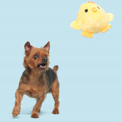 Lil' Hennifer Plush Fetch Dog Toy