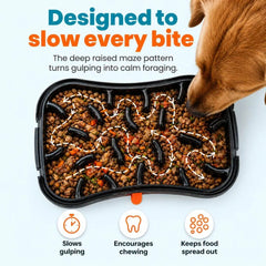 Slow Feeder Dog Bowl | Super Feedy