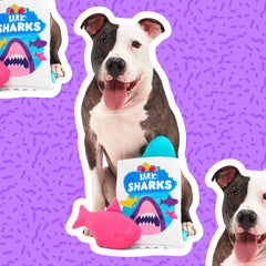 Junk Food Club, Plush Monthly Dog Toys