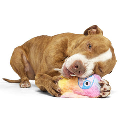 Grateful Ted Durable Super Chewer 2-in-1 Rip and Reveal + Fetch Dog Toy