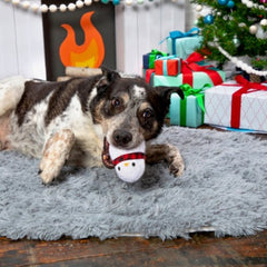 Frost Boss Durable Super Chewer 2-in-1 Rip and Reveal Dog Toy