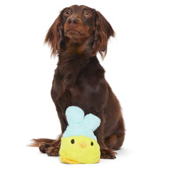Good Hare Day Chick Durable Super Chewer 2-in-1 Rip and Reveal + Fetch Dog Toy