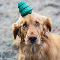 Tough Timber Pine Tree Durable Super Chewer Gnaw Dog Toy