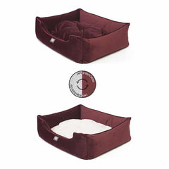 Velvet Contemporary Lounge Bed