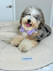 Bouclé Calming Dog Bed