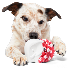 White Smellephant Durable Super Chewer 2-in-1 Rip and Reveal Dog Toy