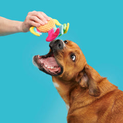 Ahi Tina Plush Tug Dog Toy