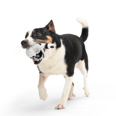 Thrash Panda Durable Super Chewer 2-in-1 Rip and Reveal Dog Toy