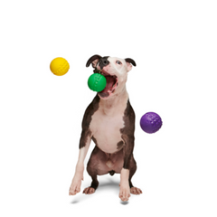 Mardi Growl Beads Durable Super Chewer Dog Toy