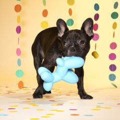 Bob the Balloon Durable Super Chewer Dog Toy