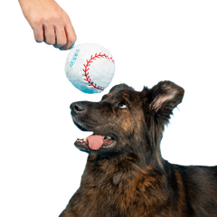 Major Lick Baseball Plush Fetch Dog Toy