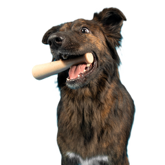 Drooleyville Slobber Super Chewer Durable Gnaw Dog Toy