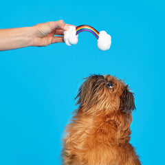 Proud Pup Rainbow Super Chewer Durable Tug Dog Toy