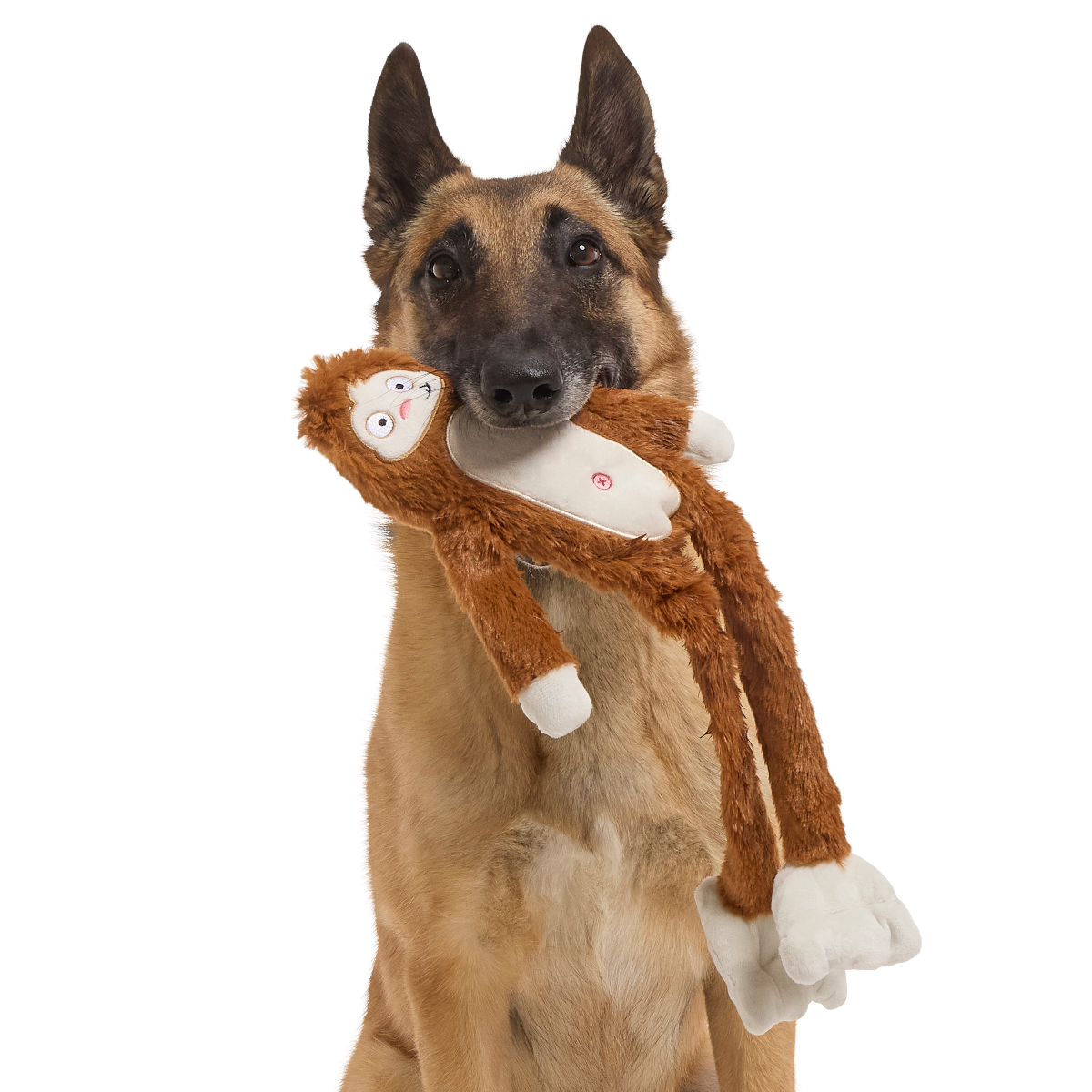 Hairy Henderson Plush Tug + Extra-Large Dog Toy