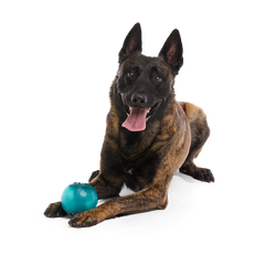 Teal Vortex Durable Super Chewer Enrichment + Fetch Dog Toy