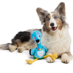 Lele the Nene Goose Plush Tug + Extra-Large Dog Toy