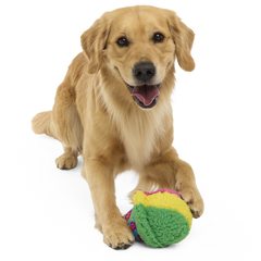 A-Sno-Ha Cone Plush Fetch Dog Toy