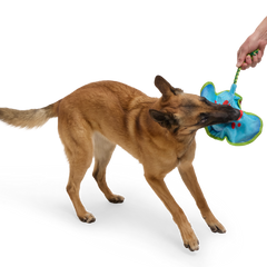 Manny Ray Plush Tug Dog Toy