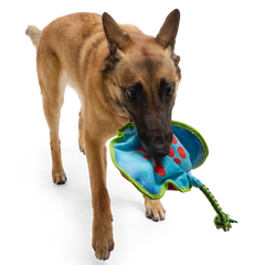 Manny Ray Plush Tug Dog Toy