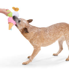 D'oggo Gelato Plush Tug Dog Toy
