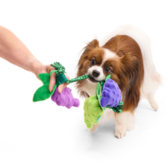 Chew The Grapevine Plush Tug Dog Toy