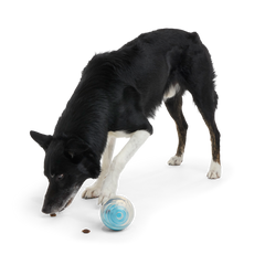 Apex Puzzler Super Chewer Durable Enrichment + Fetch Dog Toy