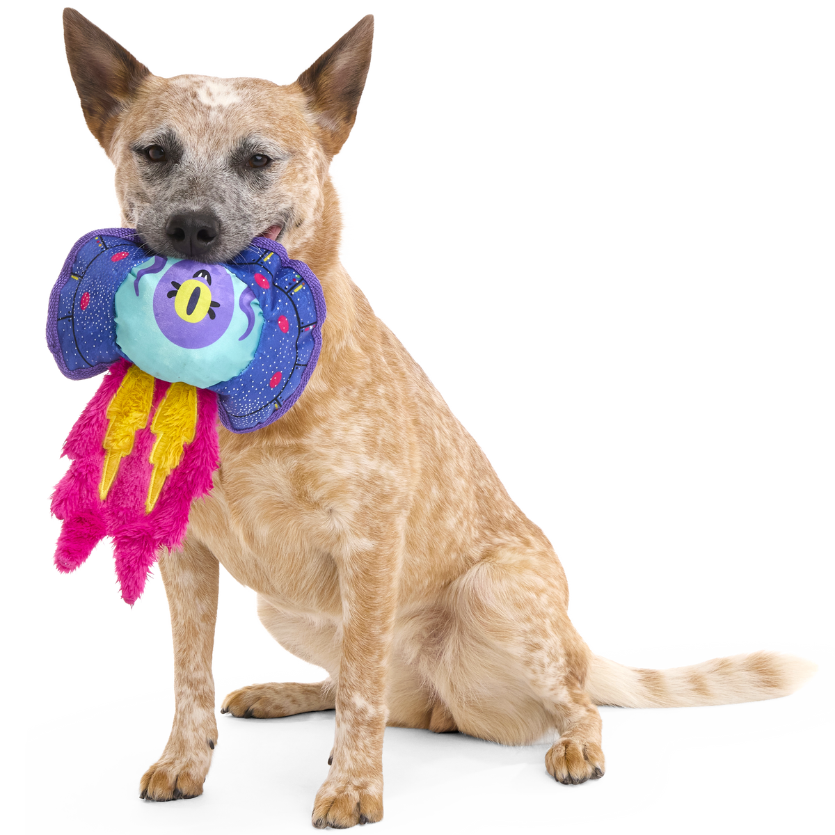 Blast Arf! Plush Tug Dog Toy