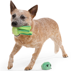 Galactopus Durable Super Chewer 2-In-1 Rip And Reveal + Tug Dog Toy