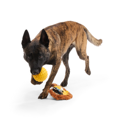 Lionel Lion Durable Super Chewer 2-In-1 Rip And Reveal + Fetch Dog Toy