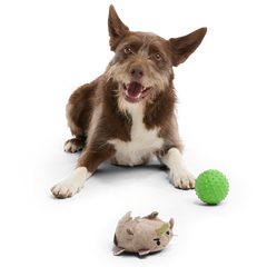 Ryan Ocerus Durable Super Chewer 2-In-1 Rip And Reveal + Fetch Dog Toy