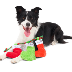 Well Hung Stockings Plush Tug Dog Toy
