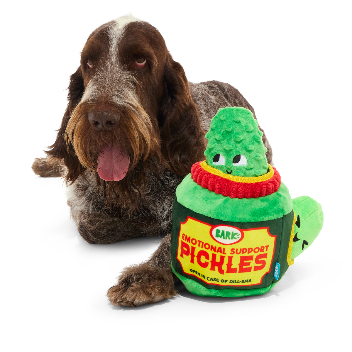 Dill-emma Squad Pickle Plush Multi-Part + Extra-Large Dog Toy