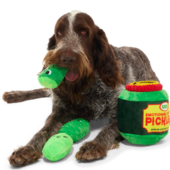 Dill-emma Squad Pickle Plush Multi-Part + Extra-Large Dog Toy