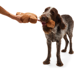 The Crumbum King Plush Tug + Extra-Large Dog Toy