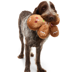 The Crumbum King Plush Tug + Extra-Large Dog Toy