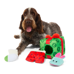 Holly Day's Presents Plush Extra-Large + Multi-Part + Enrichment Dog Toy