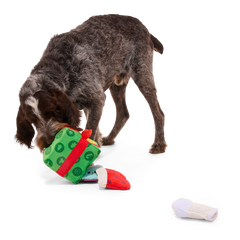 Holly Day's Presents Plush Extra-Large + Multi-Part + Enrichment Dog Toy
