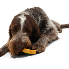 Hard-Baked Sugrrrr Cookie Super Chewer Durable Gnaw + Enrichment Dog Toy