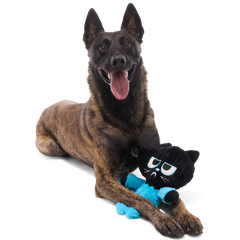The Purrfect Crime Plush 2-in-1 + Tug Dog Toy