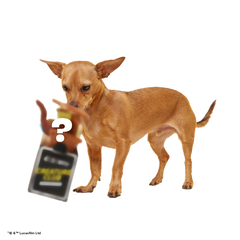 Star Wars™ Creature Club, Plush Monthly Dog Toys