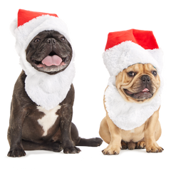 Here Comes Santa Paws Plush Wearable Tug Dog Toy