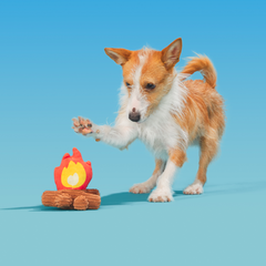 A'Hound the Campfire Plush Tug Dog Toy
