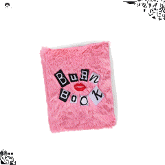 Burn Book Plush Tug + Enrichment Dog Toy