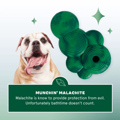 Crystal of the Month Club, Super Chewer Durable Monthly Dog Toys