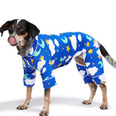 Slumber Party Dog Pajamas