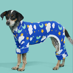 Slumber Party Dog Pajamas