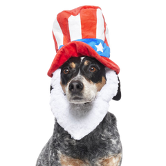 Dog Bless America Plush Wearable Tug Dog Toy