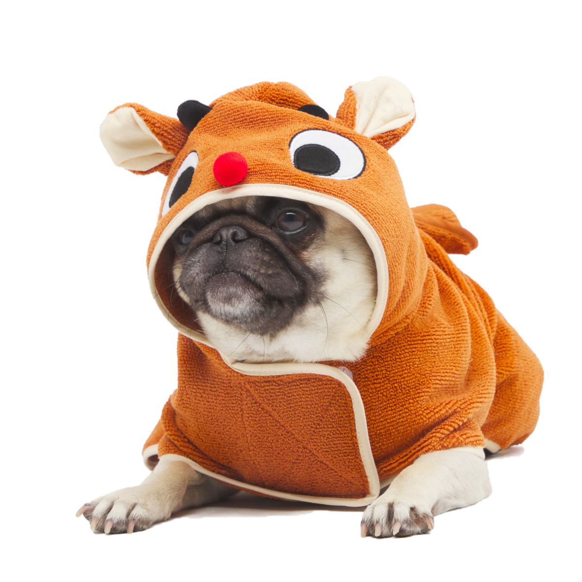 Rudolph® Dog Robe
