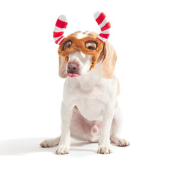 Howliday Spectacles Pack Plush Wearable Tug Dog Toy